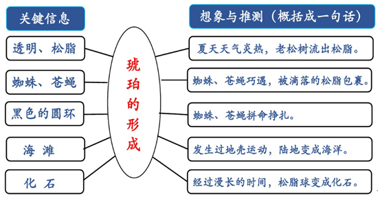 哈巴狗比喻什么人(部编版四年级语文（下册）课后习题答案)