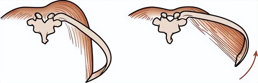 冉莹颖这是咋了？怎么突然美成吉娜了？？老公邹市明看傻了