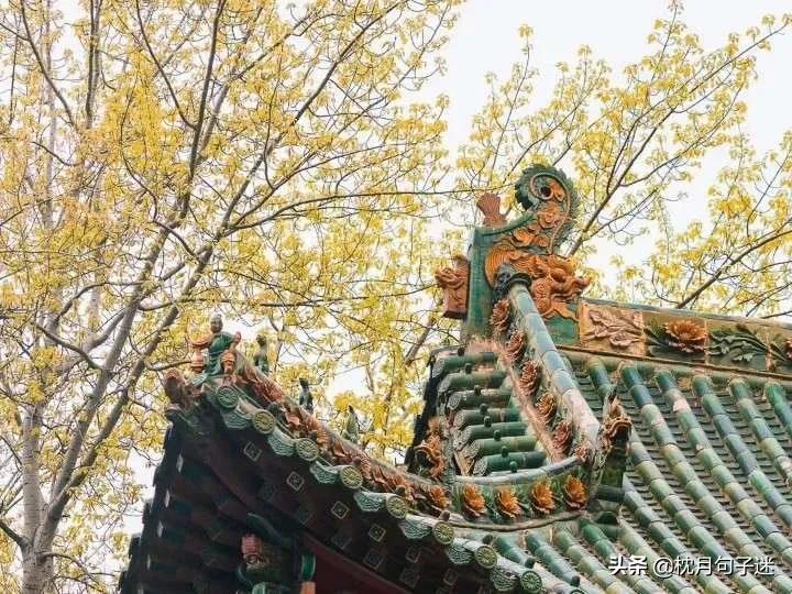 句子库‖不期待任何人，也不被任何人期待