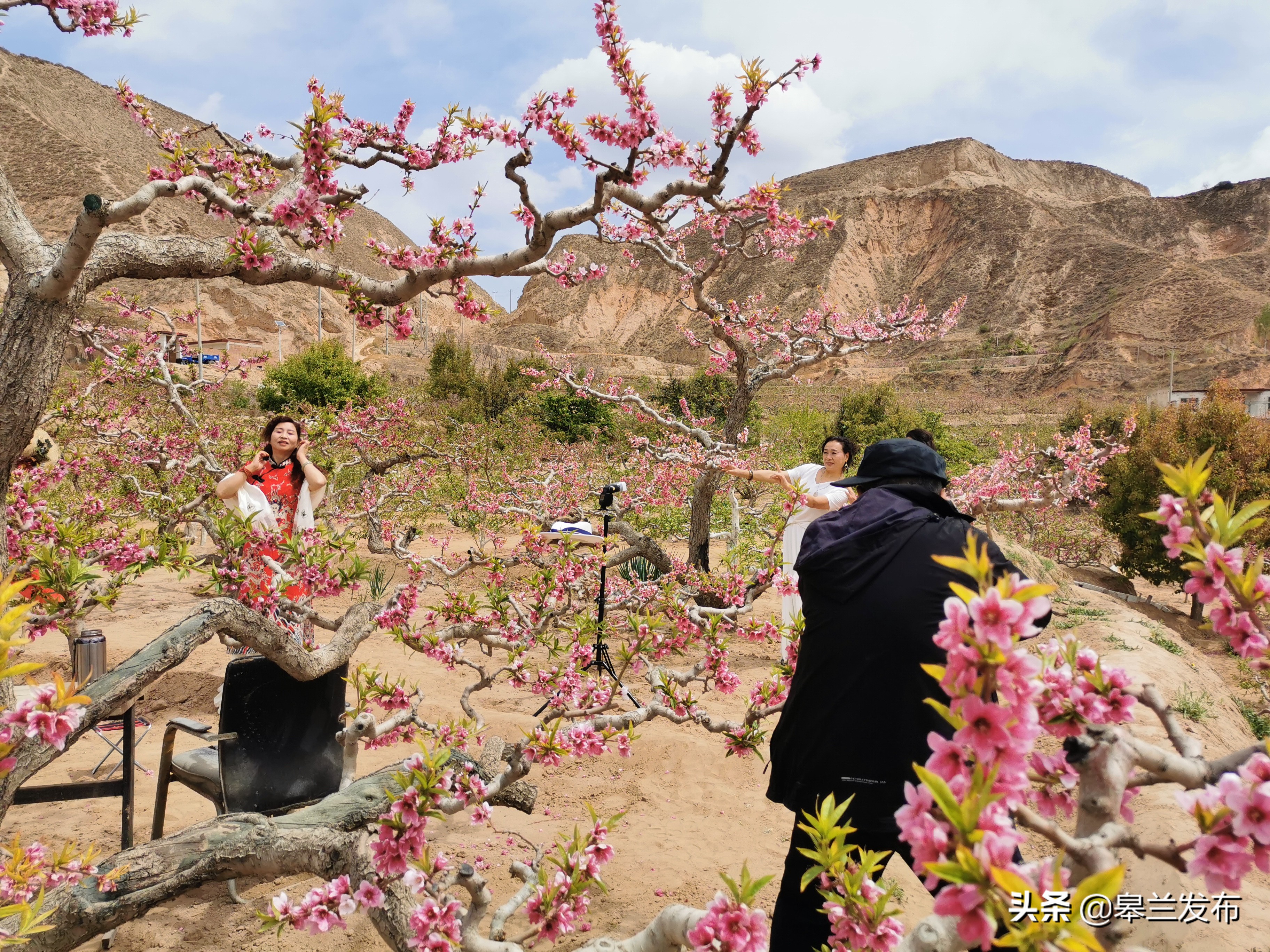 皋兰：做大做强“桃产业” 带动乡村旅游发展
