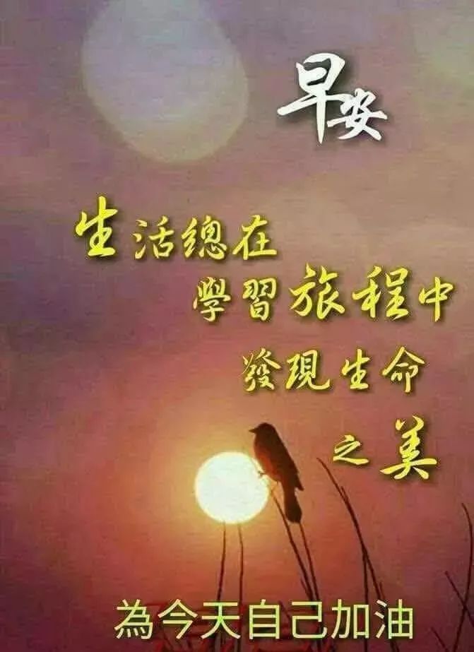 周六早上好温馨问候语，最美祝福送给您，做自己的梦，走自己的路图片