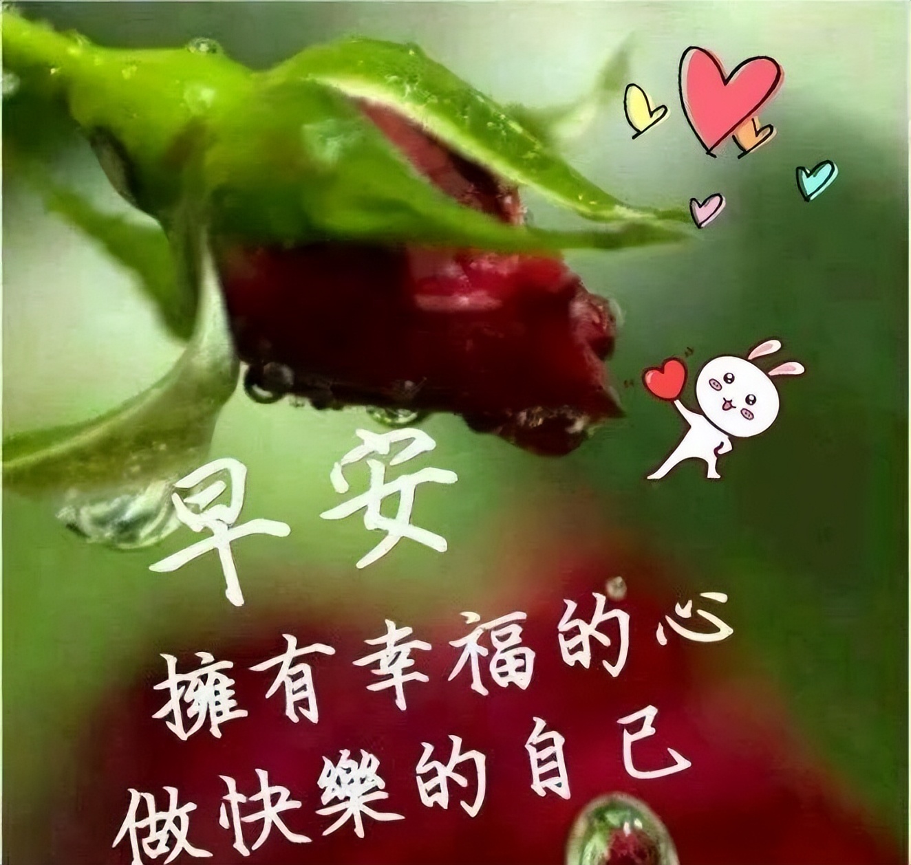 新周每日更新动态表情图片 拥有幸福的心，做快乐的自己图片