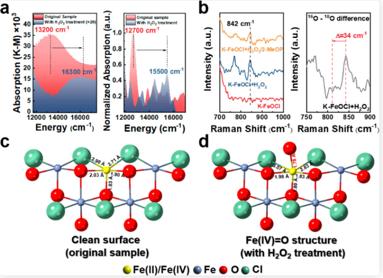 “华东理工团队利用阳离子插层FeOCl实现非传统高级氧化”