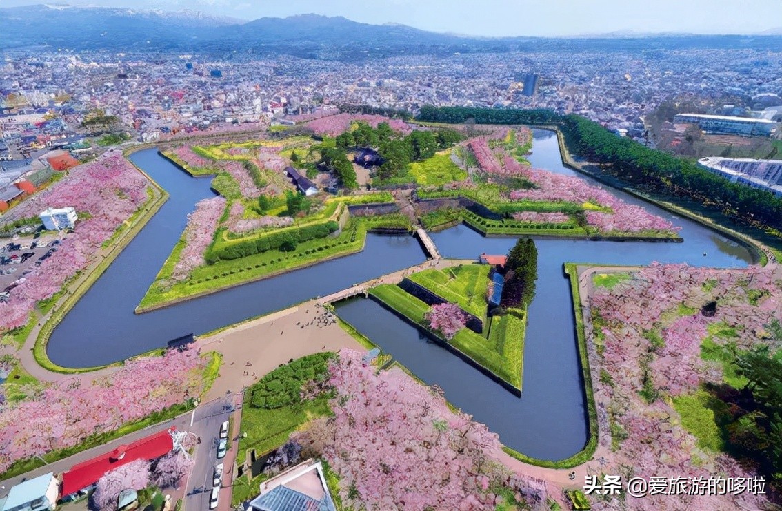 日本樱花图片（盘点大家都爱去的赏樱名地）