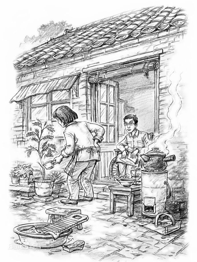 《合欢树》阅读理解示例