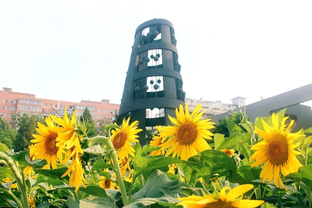 考生必看！2022强基计划招生4大变化详解：北师大可跨文理转专业！