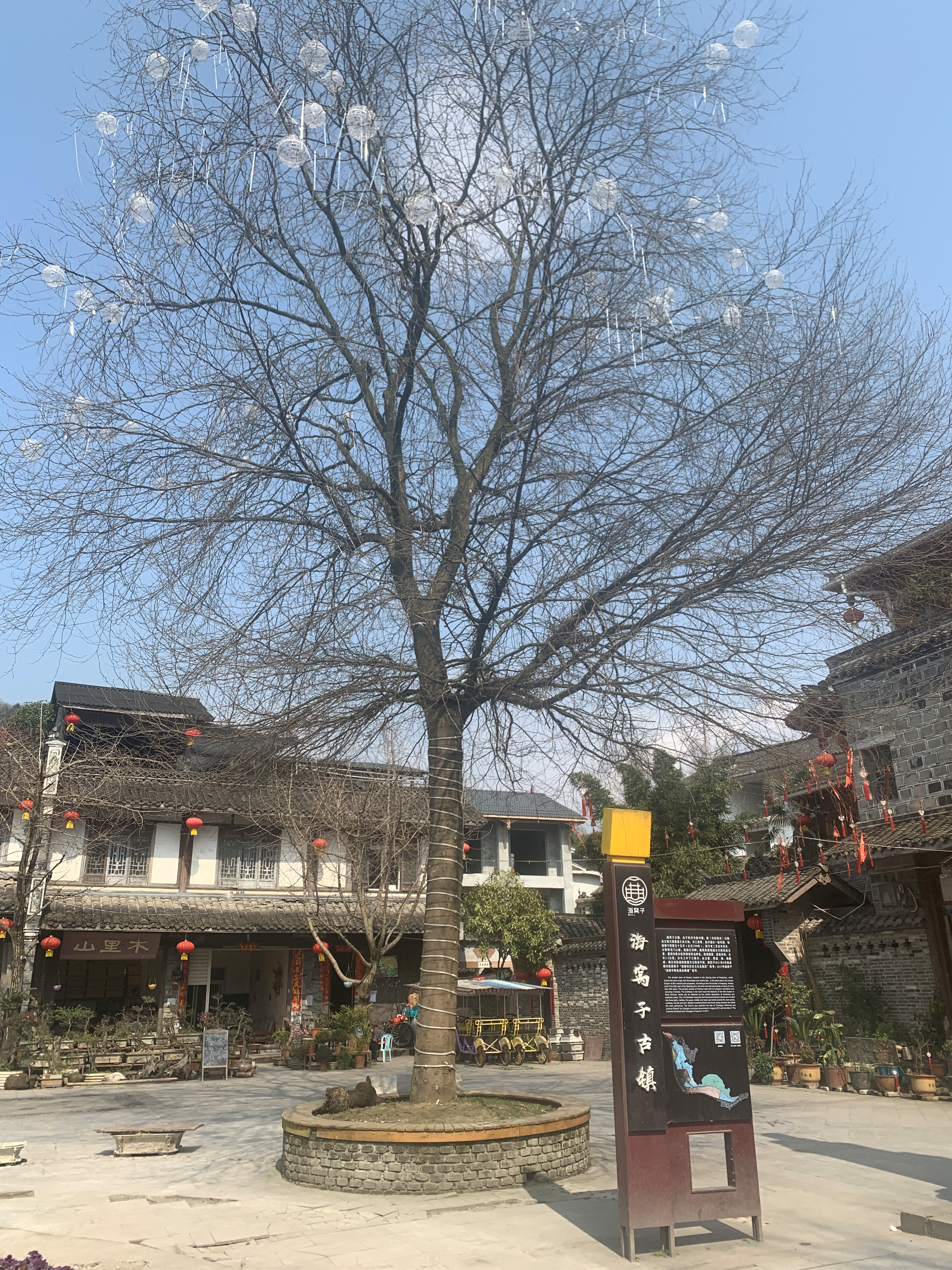 成都周边周末亲子游 逛古镇品美食 游竹海