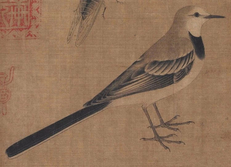 五代黄筌《写生珍禽图》:须爪毕现