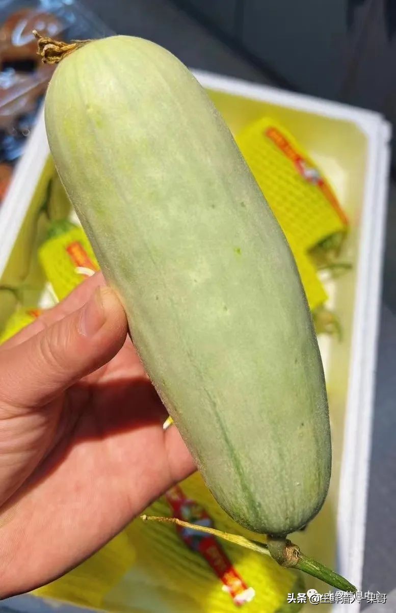 哈密瓜、蜜瓜、网纹瓜、香瓜、羊角蜜傻傻分不清？看完就明白了