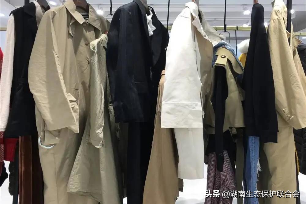 绿色百科 | 为什么说生物多样性是我们的生命？