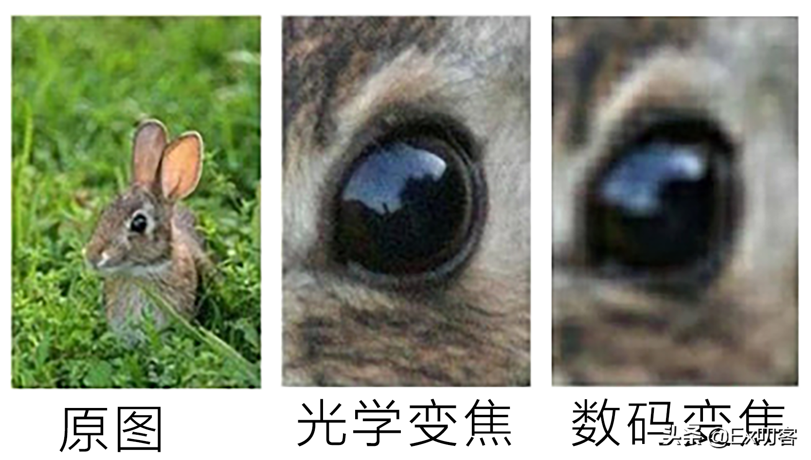 手機各項參數詳解 我不允許有女孩子不會買手機