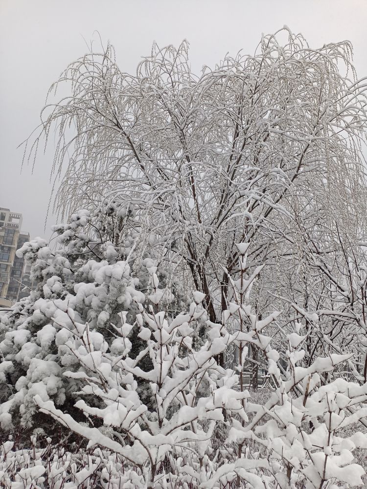雪花飘落大兴城，这里的春天最美丽 作者：翟基生（快乐人生）