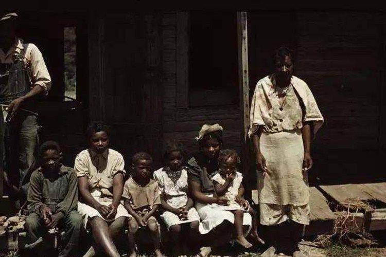 棉布如何导致亡国？害惨黑人的为何是印度？