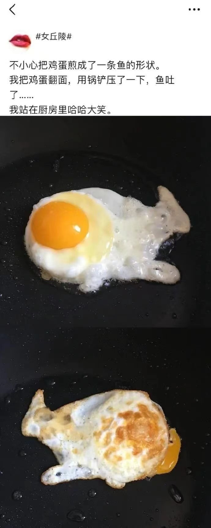 橘子晚报/大本洛佩兹结婚，邓紫棋改微博名字