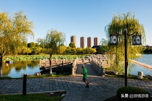 以梦抒情，以梦生景，波荡漾拂人醉、一城人家半城碧是她的倩影