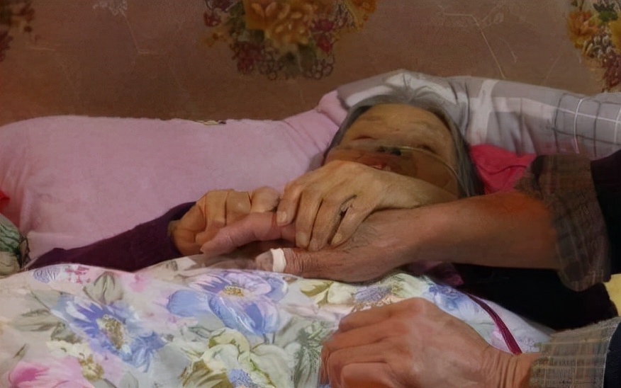 北大博士后失联20年，母亲病危仍拒不相见，亲哥哥：怪父母太吸血