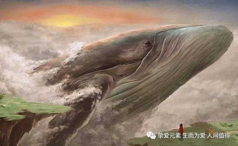 原来爱因斯坦和杨振宁才是最了解老子《道德经》的人