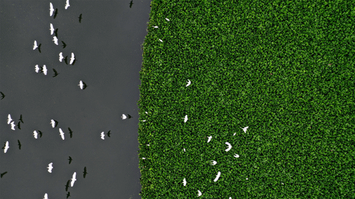 《贵州日报》刊登乾兴平文章