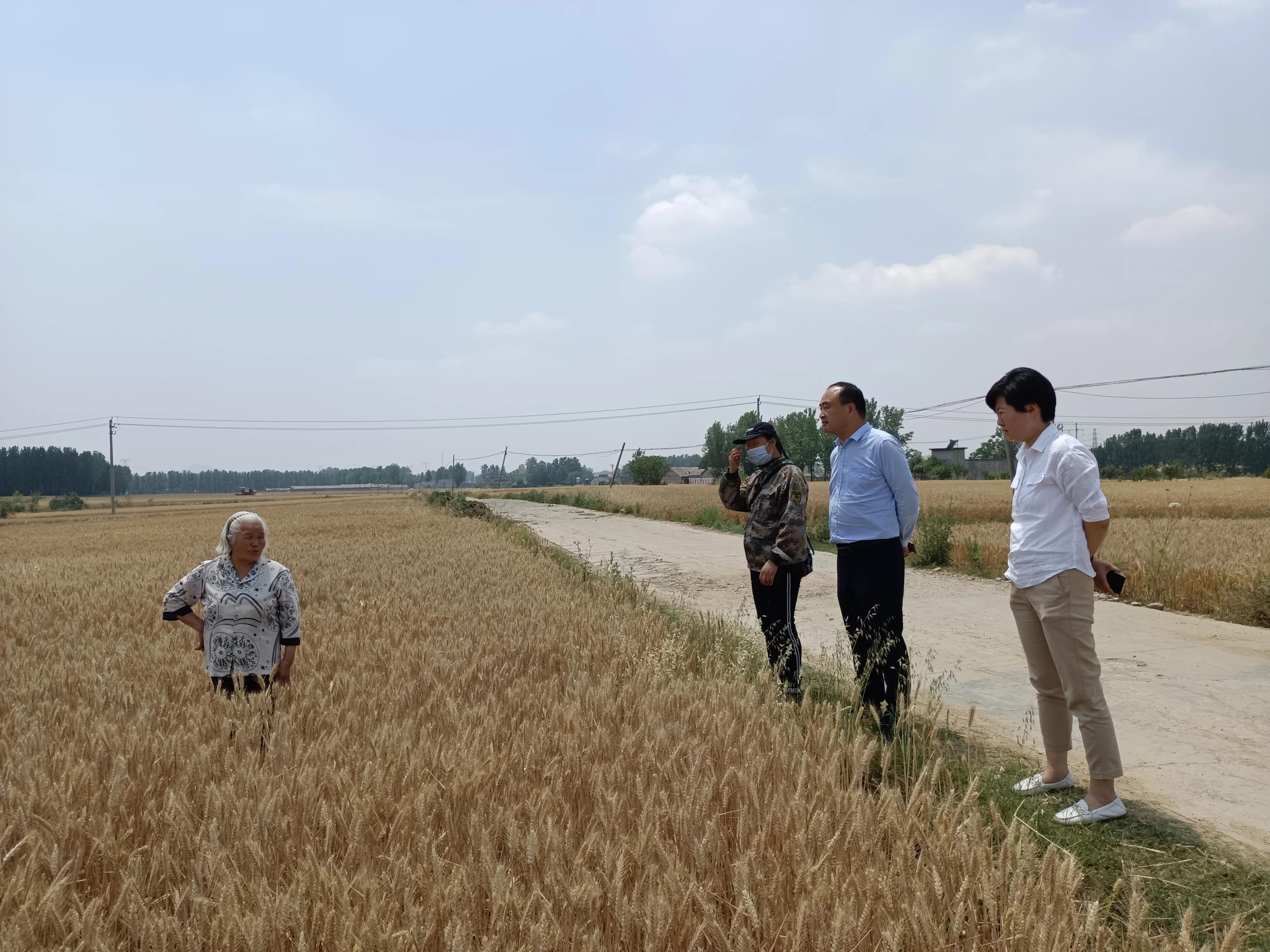 卧龙区蒲山镇：提前部署 全力以赴打赢夏粮机收仗