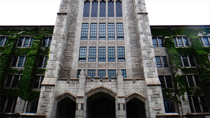 靠一只狗把总统拉下台，高调炫富送亲妈入狱，郑维罗现在怎样了？