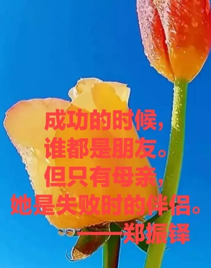 赞美母亲的一段话(16个赞美母亲的正能量语段)