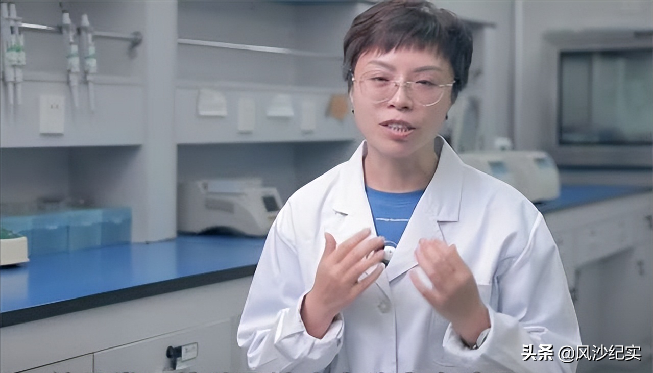 亲子鉴定师邓亚军，入行后见证无数婚姻破碎：打败爱情的是欲望