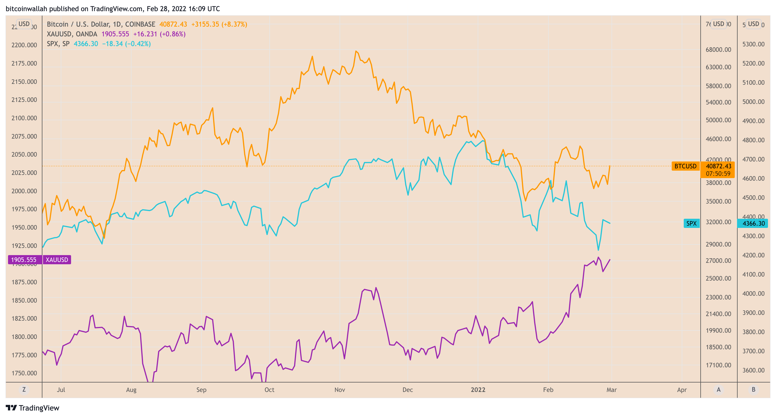 比特币反弹超过 41,000 美元，BTC 下一步能否达到 64,000 美元？