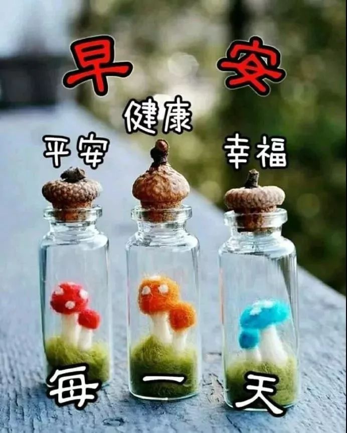 周三早上好,每天问个好,生活更美好，睡得好起得早、笑一笑永不老图片