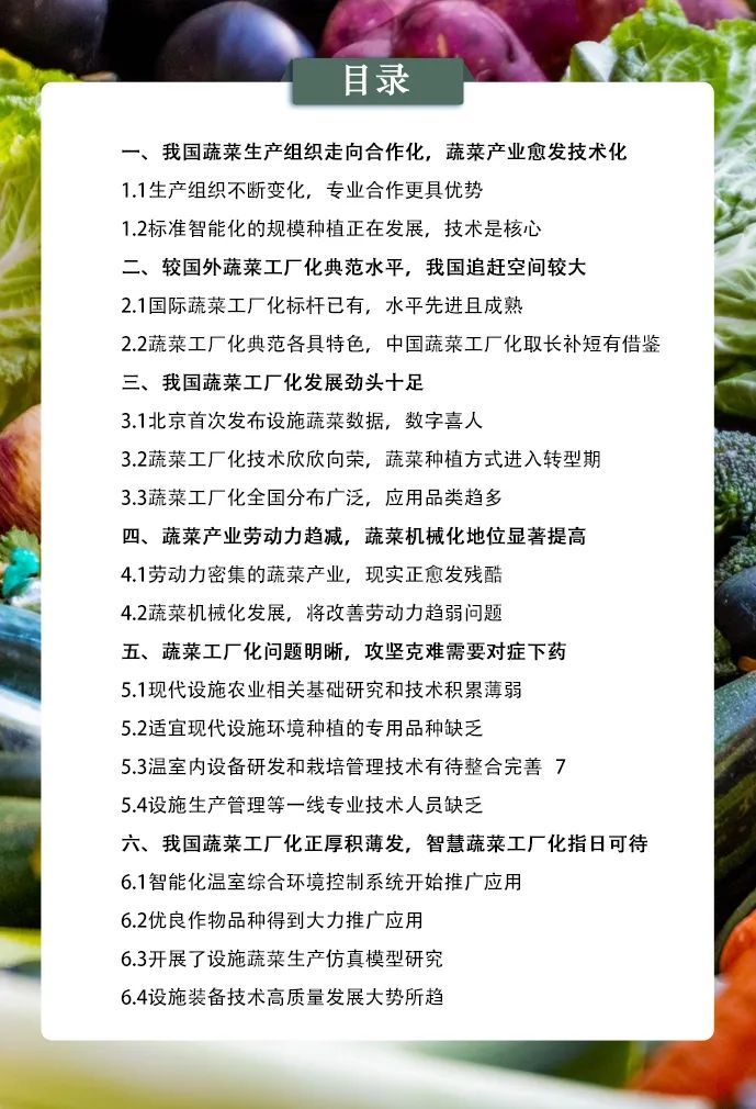 基于蔬菜工厂化视角的我国蔬菜浅析