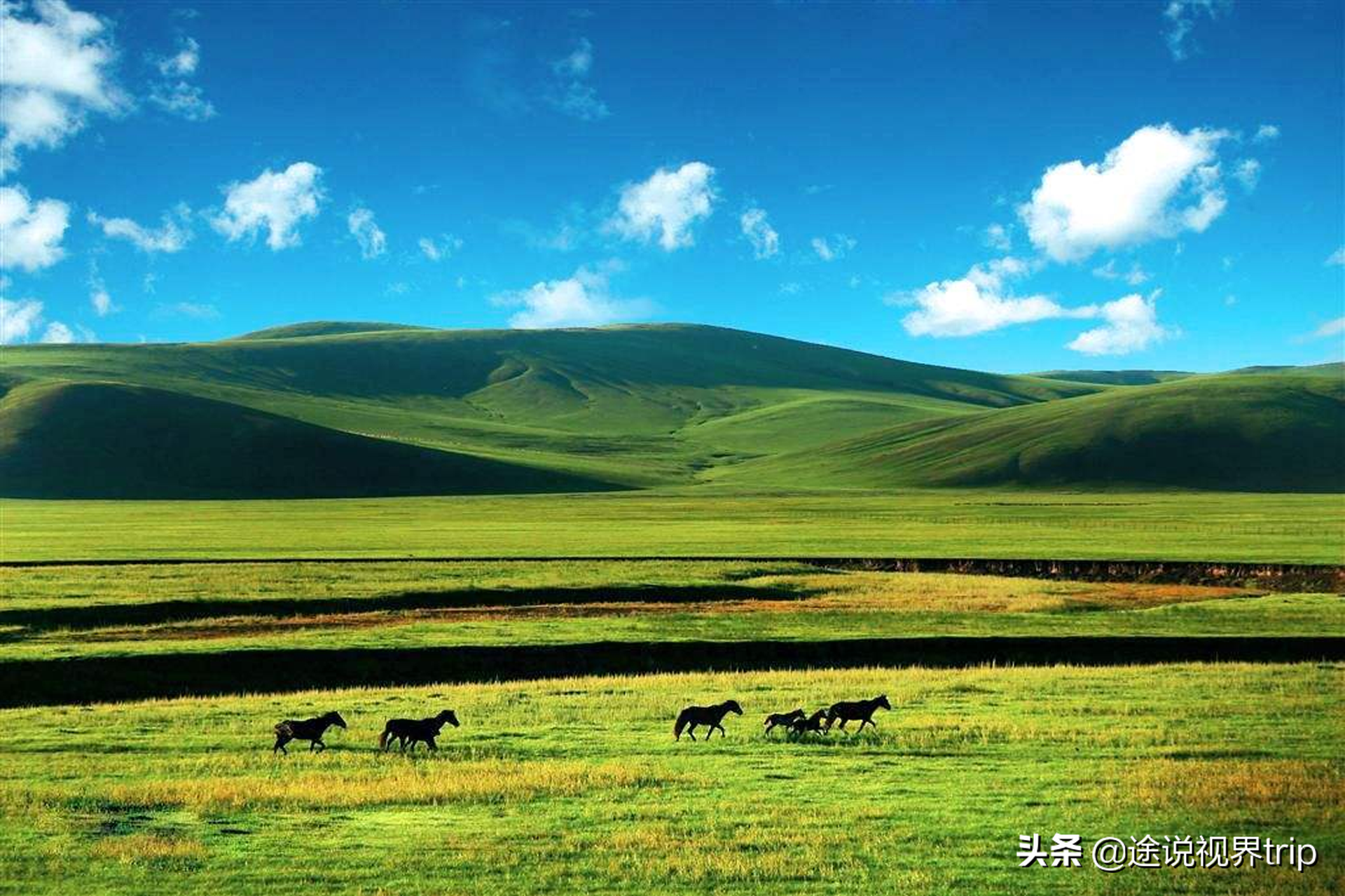 中国面积最大的十个州市排名，个个大到超乎想象，你知道哪几个？