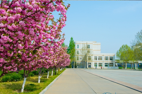 2022年艺术类招生540人，山东理工大学艺术类专业报考难度解析