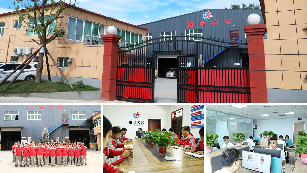 自動(dòng)蛋雞籠設(shè)備助力養(yǎng)殖戶促增收，智慧蛋雞養(yǎng)殖助力鄉(xiāng)村振興