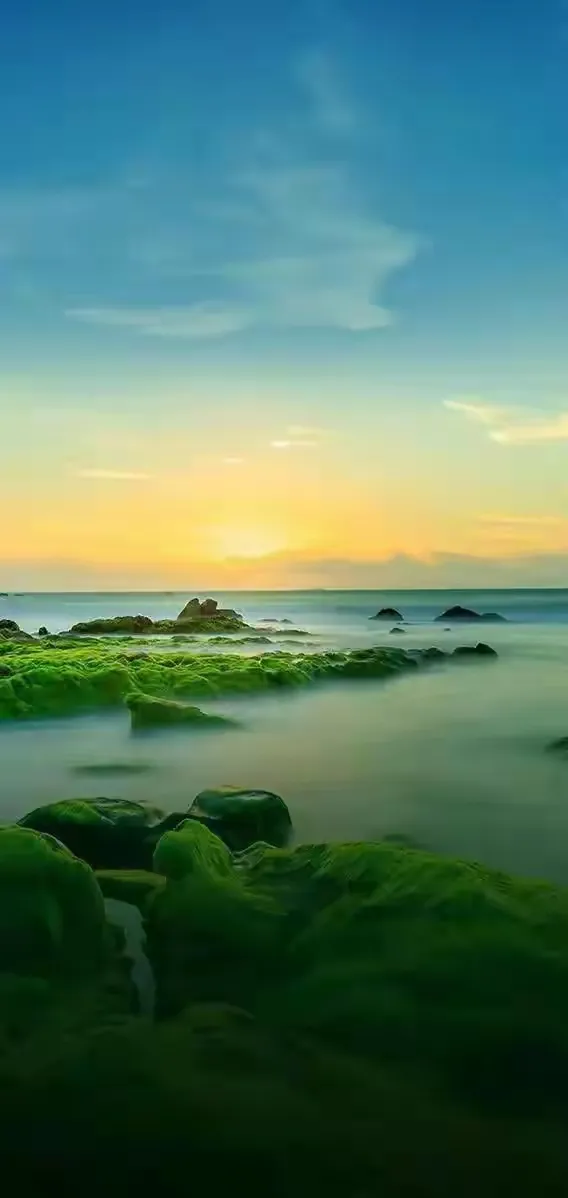 我的养股之路，20w实盘记录（230117）