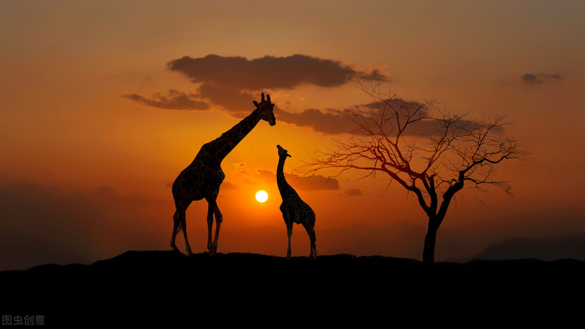 「破镜重圆」的言情好文推荐！甜中带虐，相爱的人，终会相守