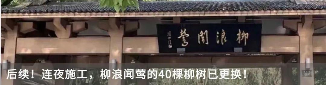 房贷政策放大招！买房能省多少钱？杭州人最关心的问题来了