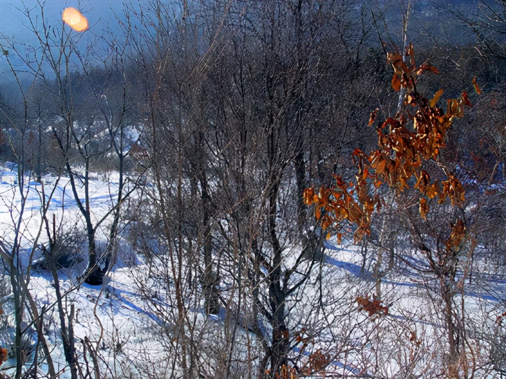 吉林旅游：走进北大湖冰雪世界（图）