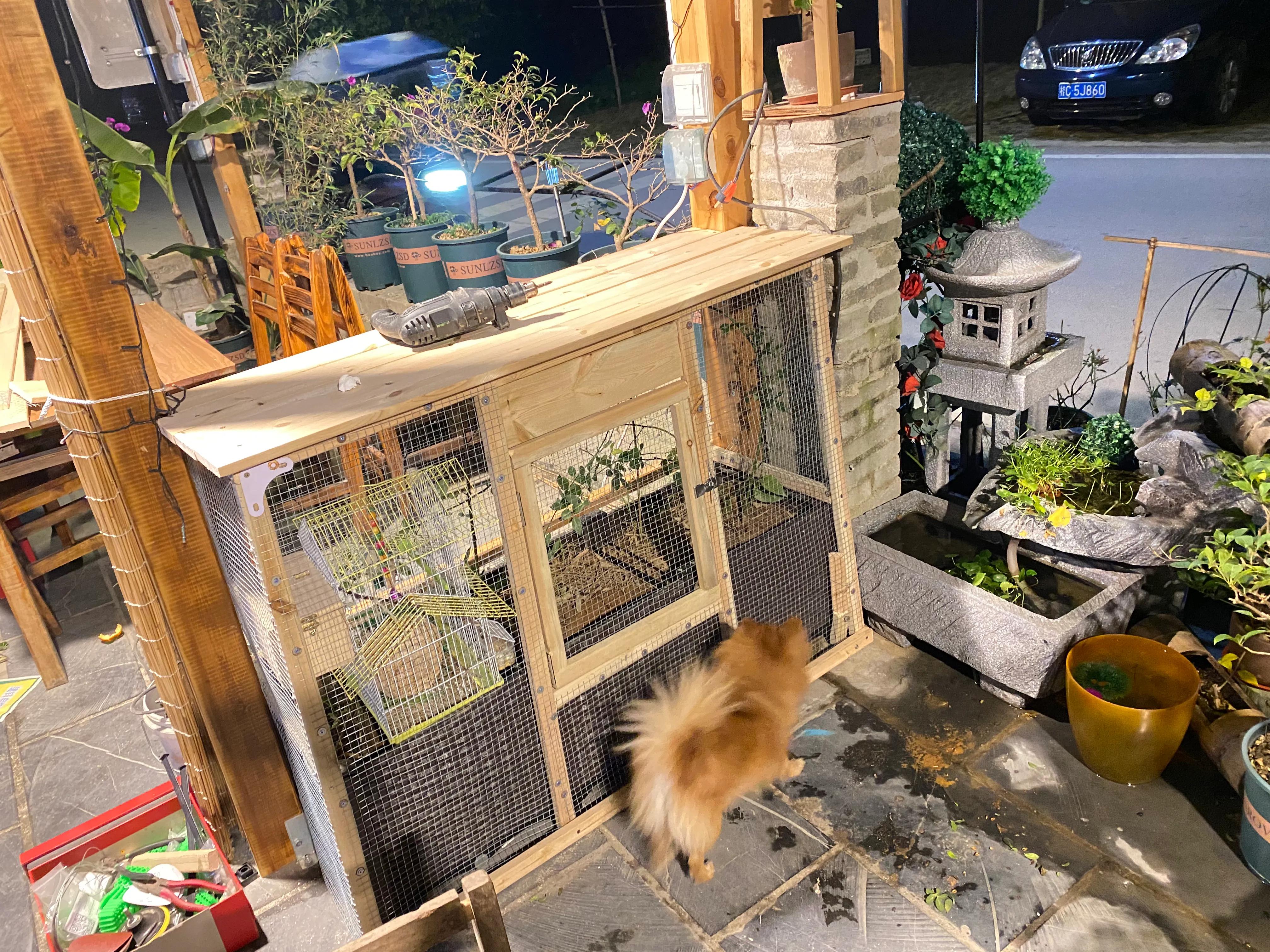 鸟笼子图片大全(古法生态养鸟园林笼制作教程)