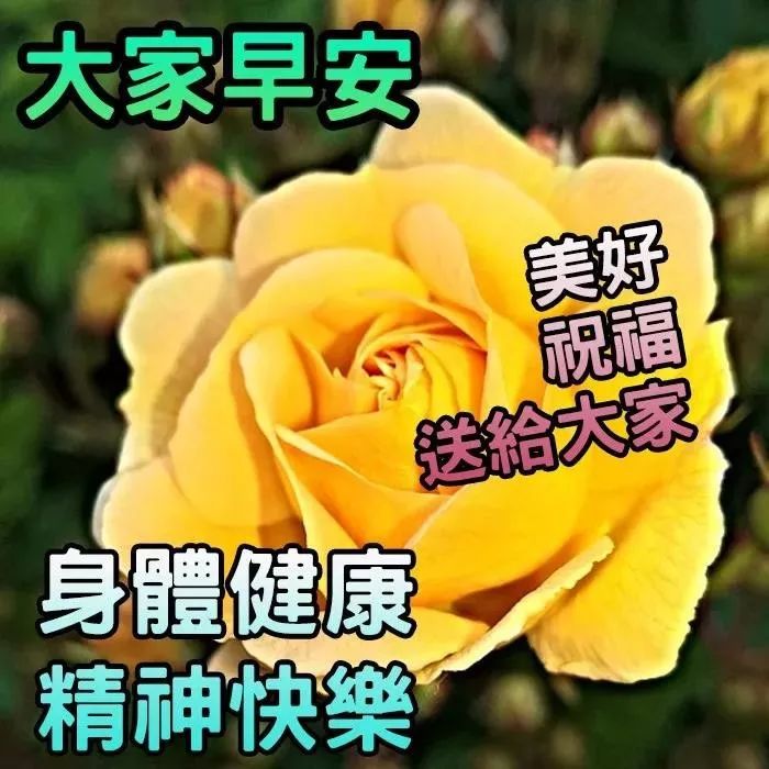 初夏早上好唯美祝福图片 早安图片带字带鲜花 幸福花祝你幸福美满图片