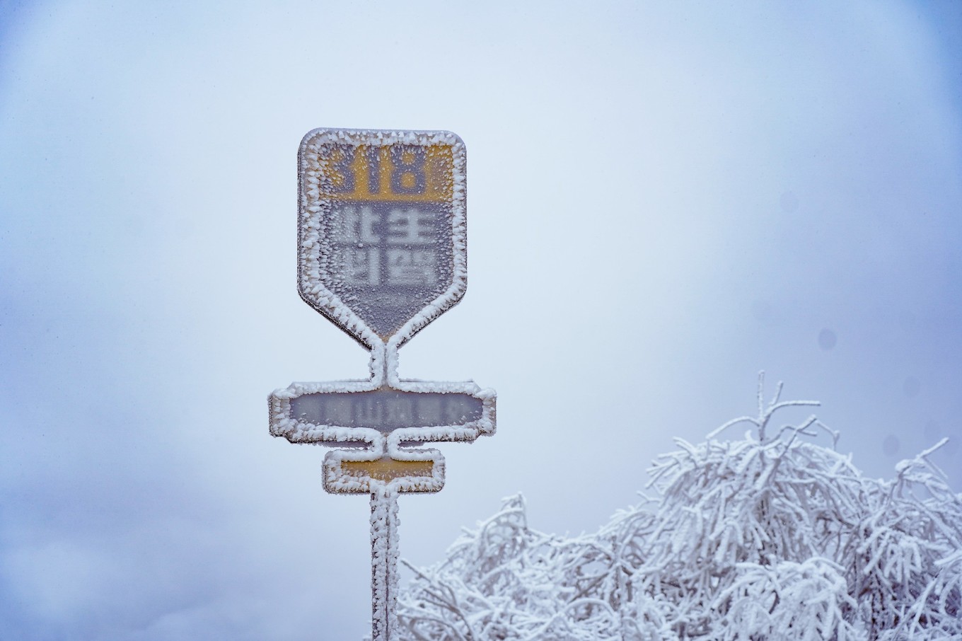 云海之上，贡嘎之巅，王岗坪冰雪之旅