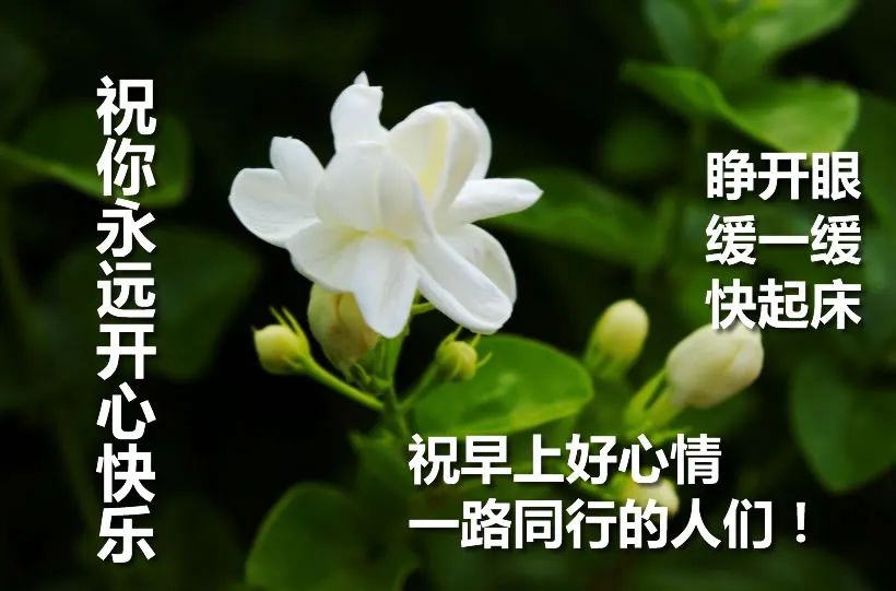 星期四特别适合发漂亮发朋友圈的早上好图片，平安吉祥、幸福满满图片