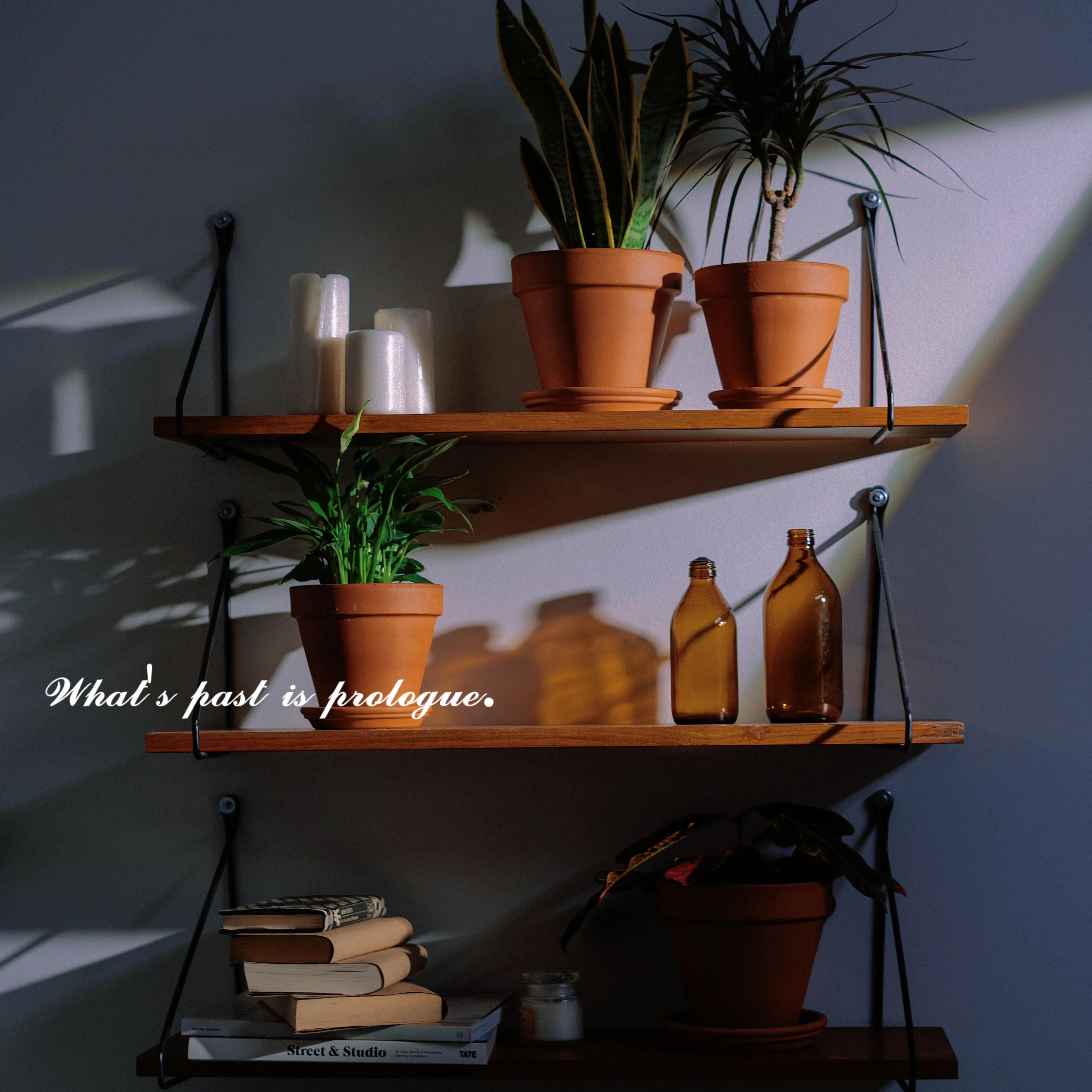 大学学习规划怎么写（大一新生在大学里要注意什么）