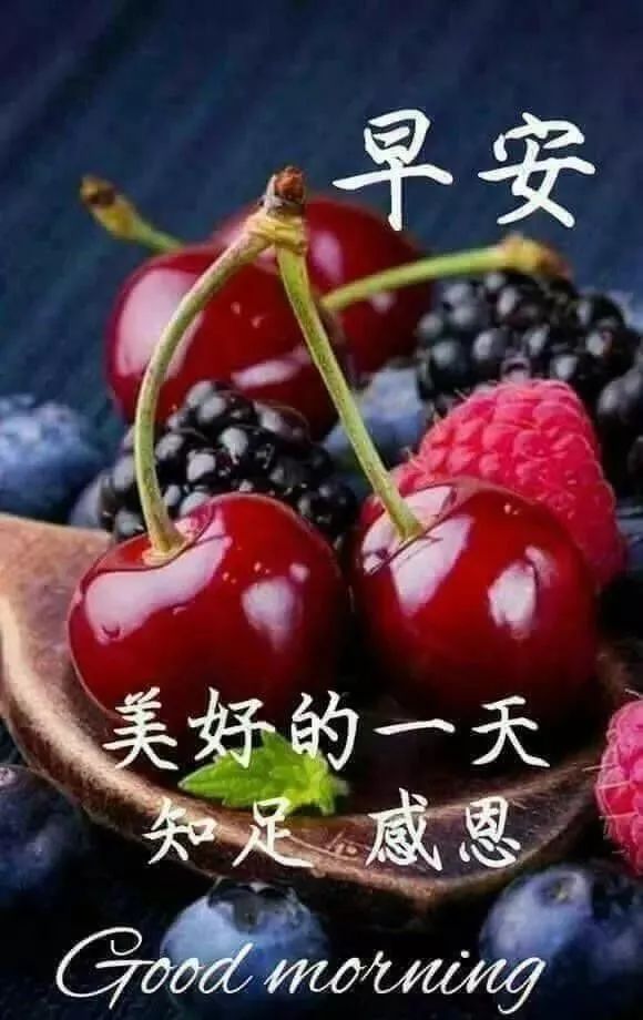 今日份早上好动态表情图片，经典早安问候美图 早安，温暖、好运图片