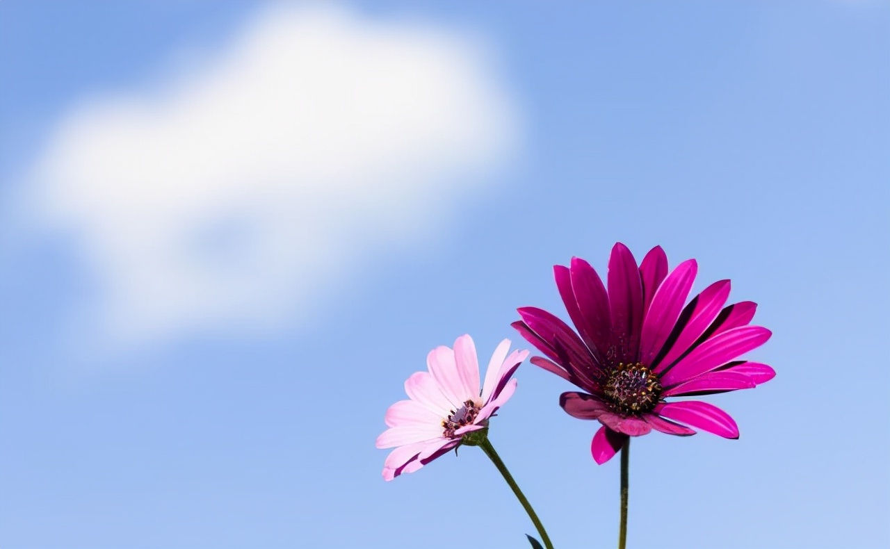 2021很励志的心灵鸡汤,振奋人心,发朋友圈超赞