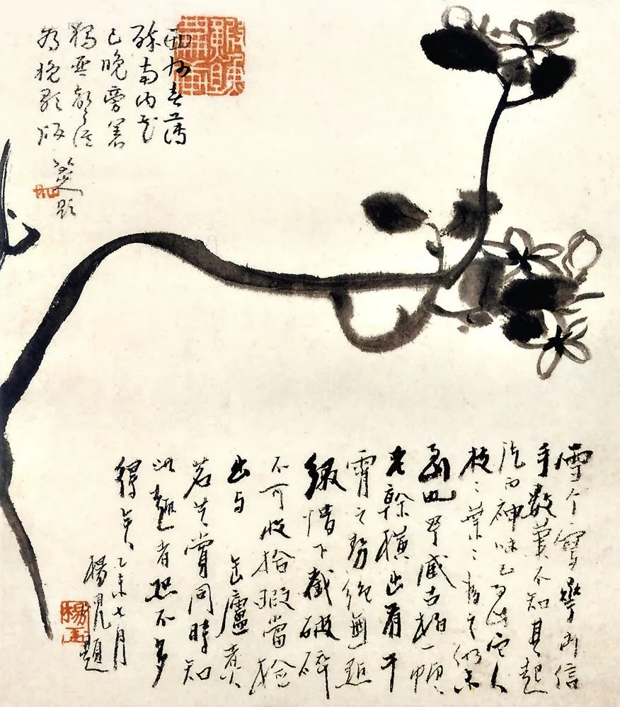 鷨ȫհס
