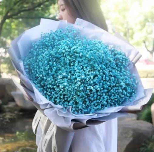 qq空间关于满天星的说说 _晶羽文学网