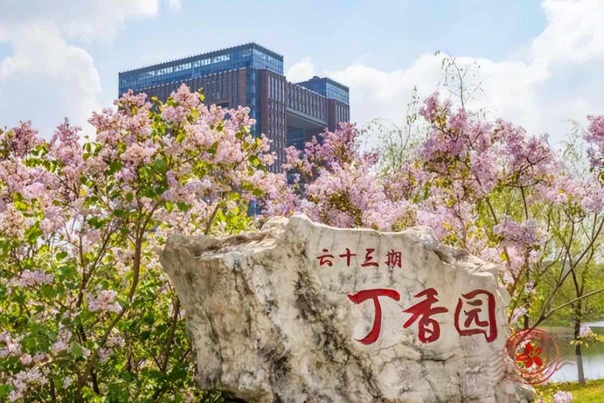 揭秘中国医科大学有多强？群星璀璨，人才辈出！