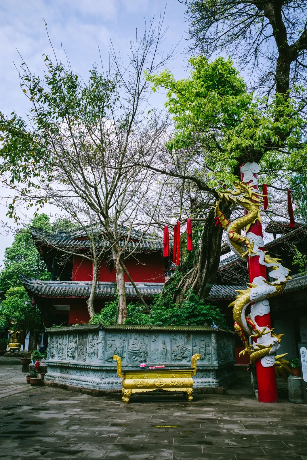 黄龙溪轶事｜诸葛种树护千年，黄龙溪畔暖人间