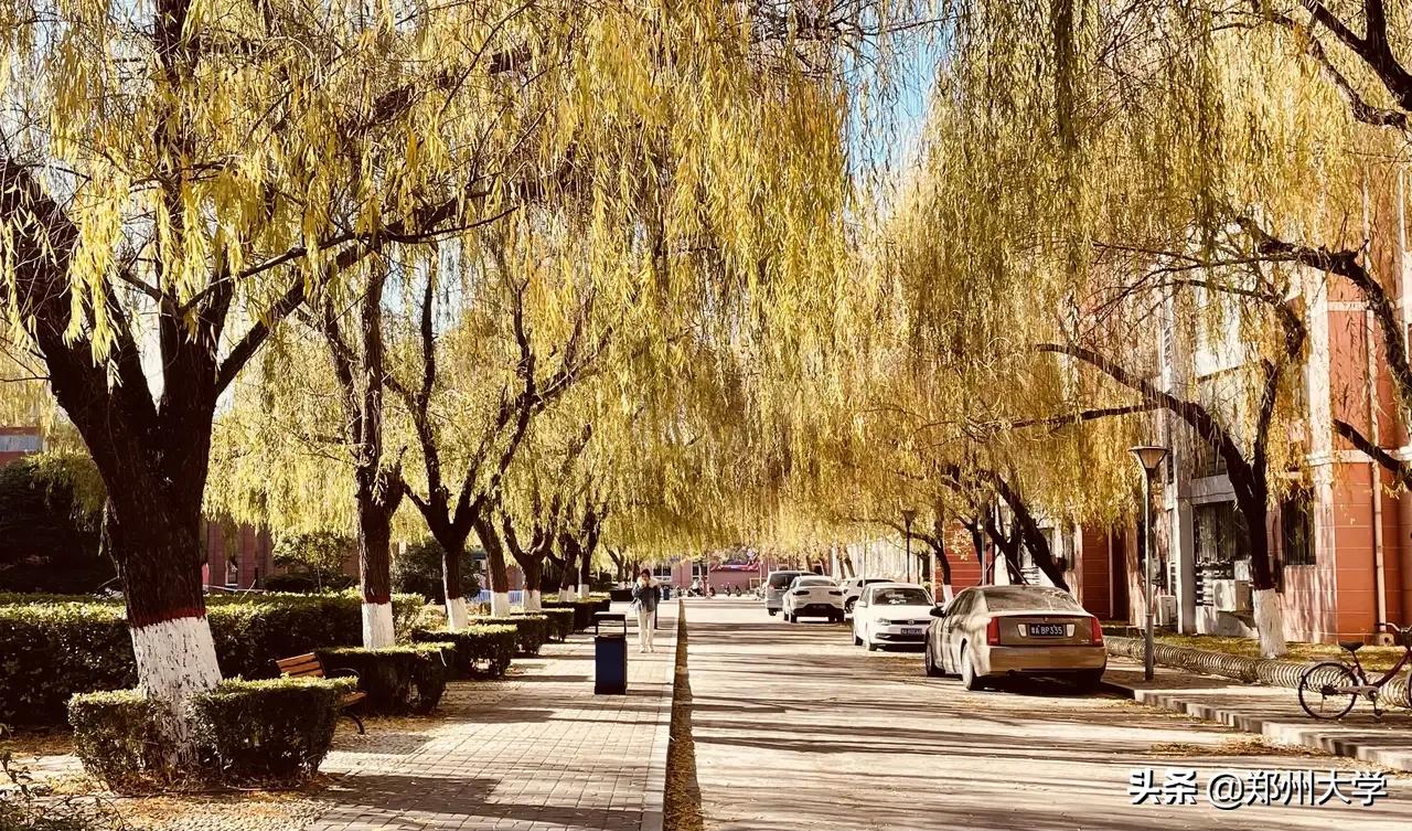 与你，郑大的日日夜夜…