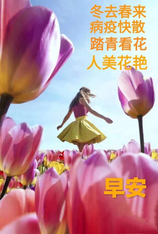 早上好祝福 长长久久，平平安安 做人就要沉下心来，踏踏实实去努力图片