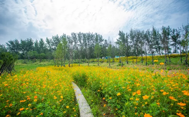 周口沙河湾湿地公园丨顺景园林